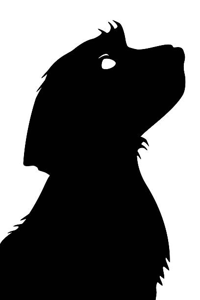 Canine Silhouette of dog profile looking up, digitally created