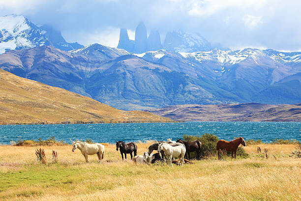 istock Fabulous lake in the mountains 508124135