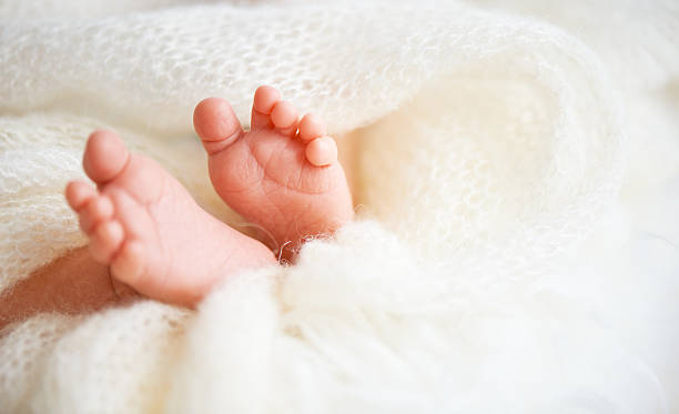 istock foot leg newborn baby 508131328