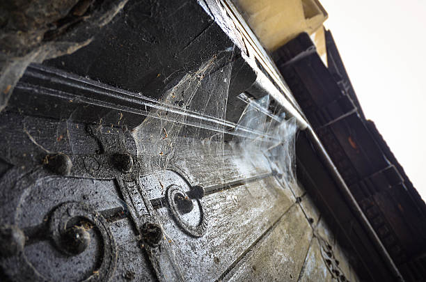 istock Old wooden door with spiderwebs 508131622