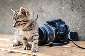 niedlich-babyschuhe-mit-digitalkamera-auf-einem-holztisch.jpg?b=1&s=170x170&k=20&c=MMWqKNGIAhzcZN0WcXMbIBlHVfEvqnIVgBJTDBEdmQ8=