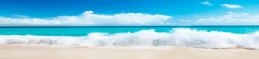 Beautiful beach and sea wave in a panoramic image