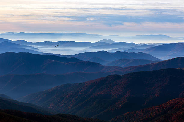 Mountains and Hills panoramic View with many stacked foggy and smoky ranges highlighted with back light Sunshine Bird Eagle flying around