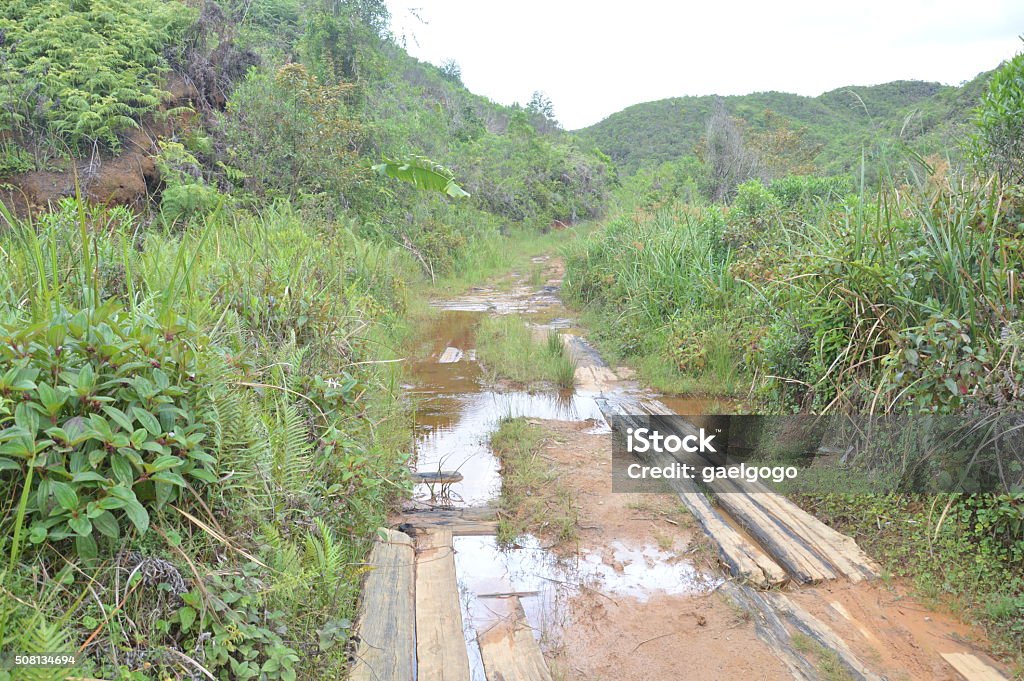 Flooded road Dirt road flooded with water in the tropical rainforest. Flood Stock Photo