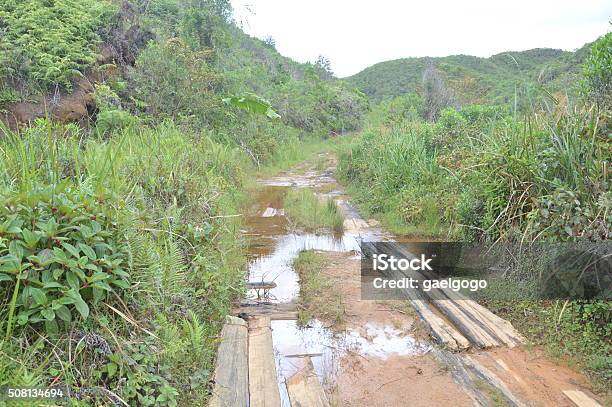 Flooded Road Stock Photo - Download Image Now - Flood, Forest, Madagascar