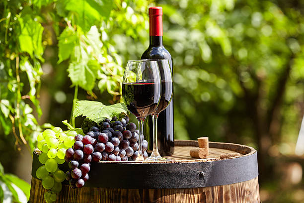 istock Red wine with barrel on vineyard in green Tuscany, 508136436