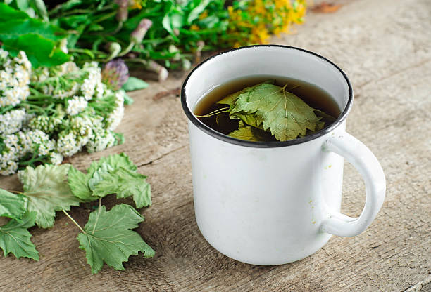 istock Mug of herbal tea (infusion) with dried black currant leaves 508136576