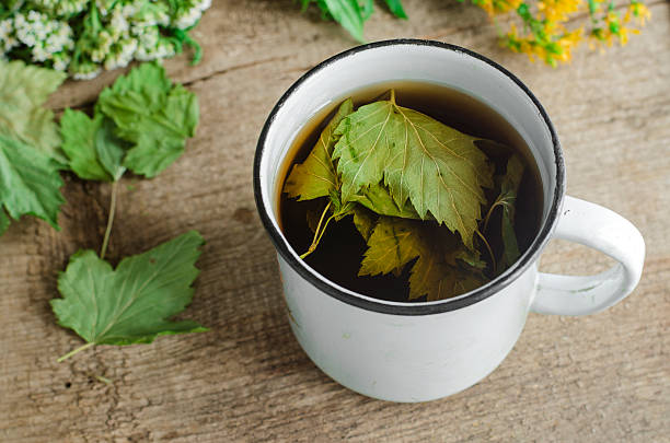 istock Mug of herbal tea (infusion) with dried black currant leaves 508136772