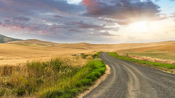 istock winding road at Palouse 508136912