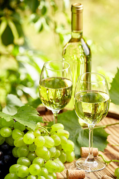 istock Grape and white wine on wooden barrel , garden terrace 508136948