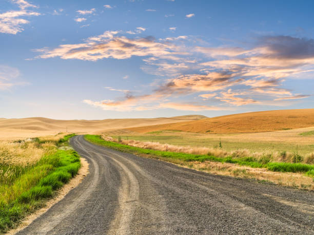 istock winding road at Palouse 508137400