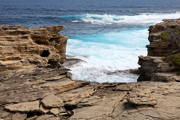 istock Cape Vlamingh, Rottnest Island, Western Australia 508138356