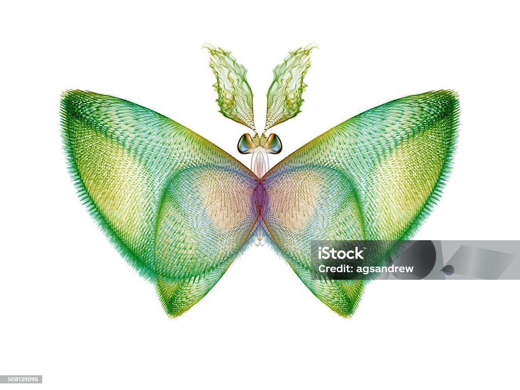 Fractal Butterfly Never Were Butterflies series. Visually attractive backdrop made of isolated butterfly patterns suitable as element for layouts on science, imagination, creativity and design Abstract Stock Photo
