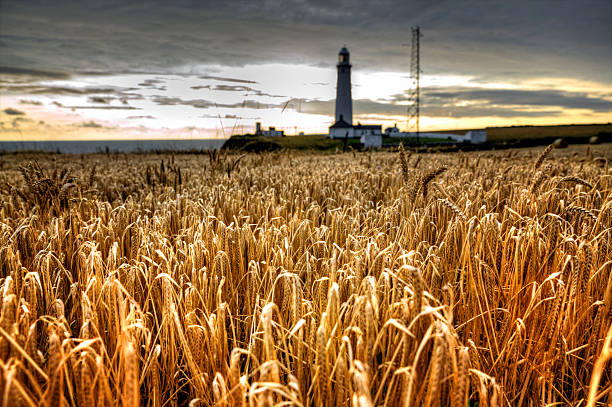 istock White lighthouse against dark sky at sunset 508139383
