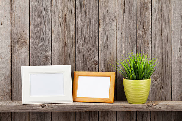 istock Blank photo frames and plant 508140660