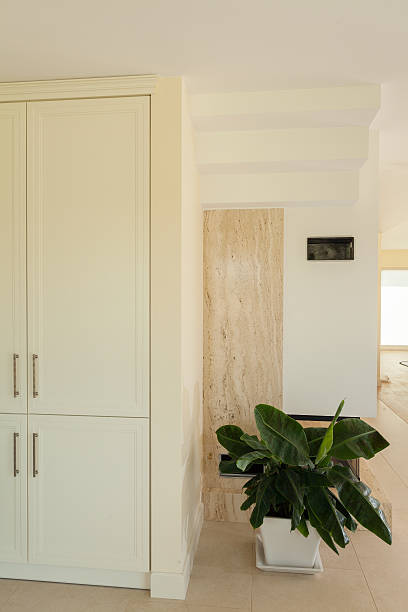istock Ateroom in modern house 508141535