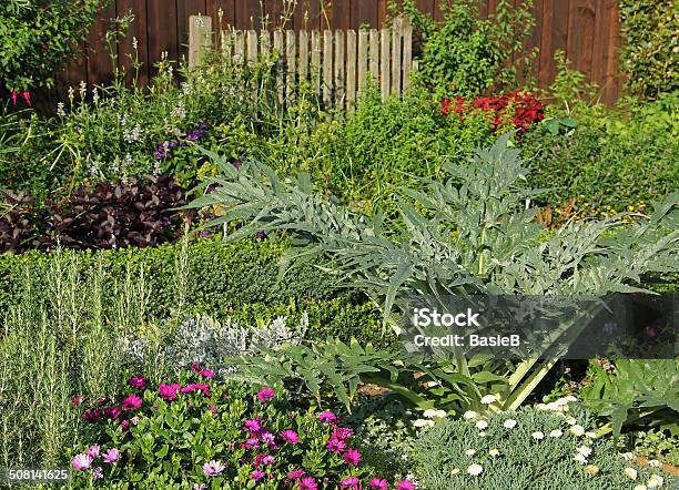 Kräuter Blumen Und Verschiedene Pflanzen Stockfoto und mehr Bilder von Hausgarten - Hausgarten, Kardone, Artischocke