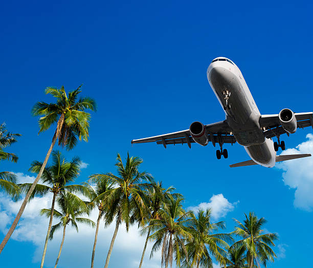 istock Airliner landing over palm trees at a holiday destination 508142066