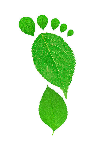 istock Green Footprint With Clipping Path 508142234