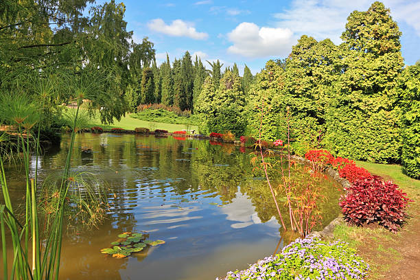 istock Picturesque bushes with red flowers 508142267