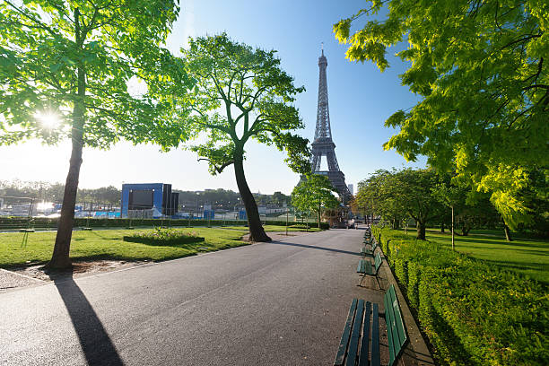 istock sunny morning and Eiffel Tower, Paris, France 508142659