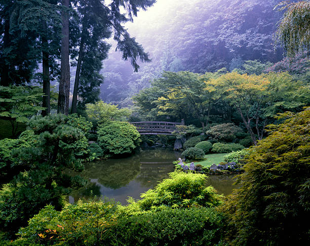 ponte sul laghetto nel giardino giapponese, portland, oregon - nature japanese garden formal garden ornamental garden foto e immagini stock