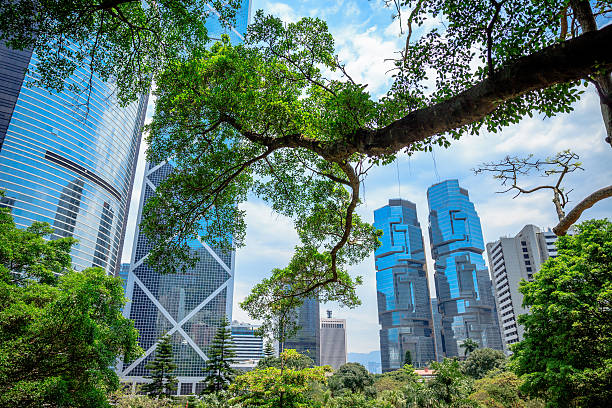 istock Business building surrounded by tropical vegetation 508144033