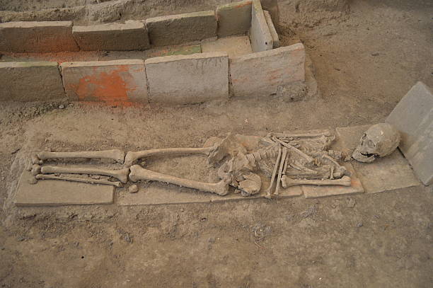 istock The skeleton of a Roman 508144631