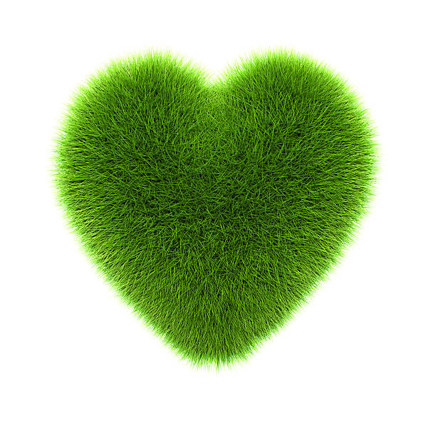 istock green grass heart, isolated on white 508152658