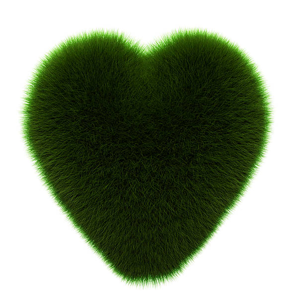 istock green grass heart, isolated on white 508152696