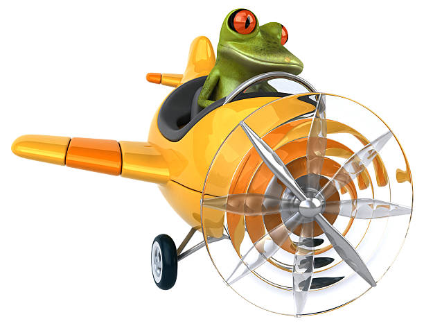 rana - frog three dimensional shape animal green foto e immagini stock