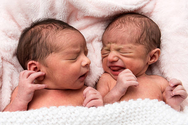 neonato neonati - twin newborn baby baby girls foto e immagini stock