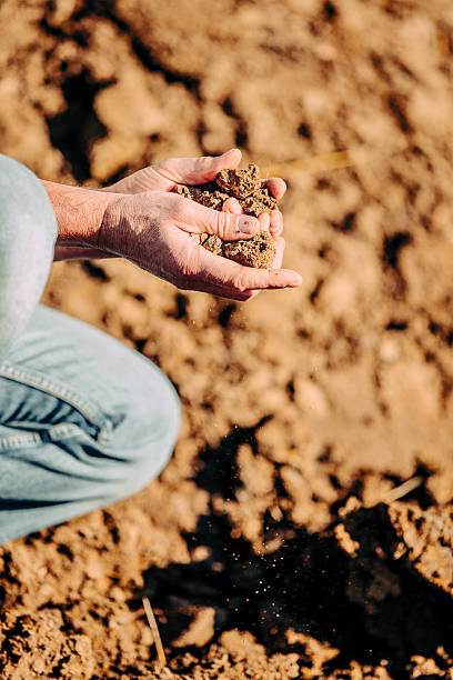 istock Checking Fertile Soil in Vineyards 508155948