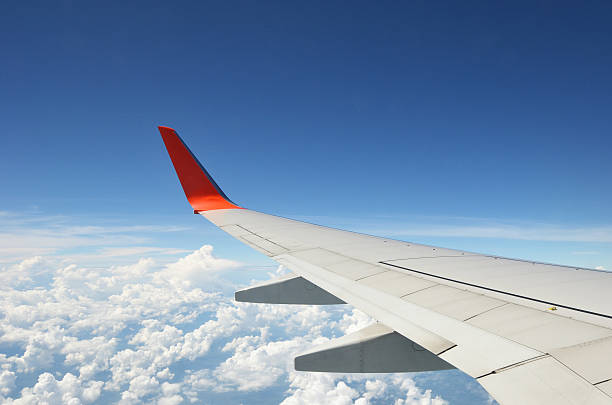 aircraft Wing Aircraft wing on the sky animal wing stock pictures, royalty-free photos & images