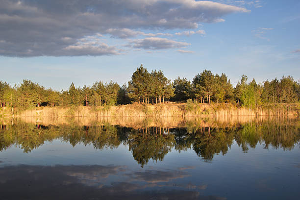 istock The beautiful clear lake near the forest 508159666