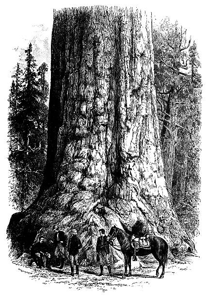 istock Antique illustration of the 