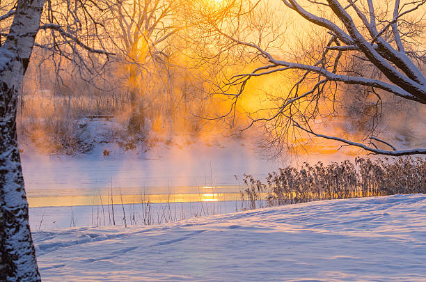 froid le matin sur le fleuve - vibrant color forest ice snow photos et images de collection