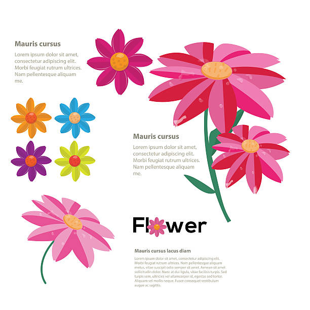 illustrazioni stock, clip art, cartoni animati e icone di tendenza di fresco fiore di infografica-illustrazione vettoriale - potted plant hibiscus herb beauty in nature
