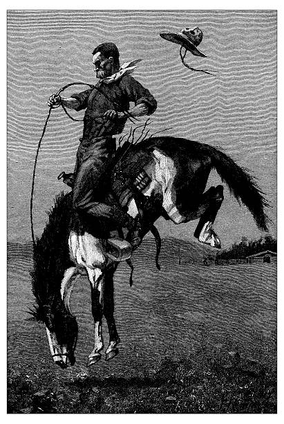 앤틱형 삽화-호스 로데오 브론코 buster - illustration and painting animal cowboy horse stock illustrations