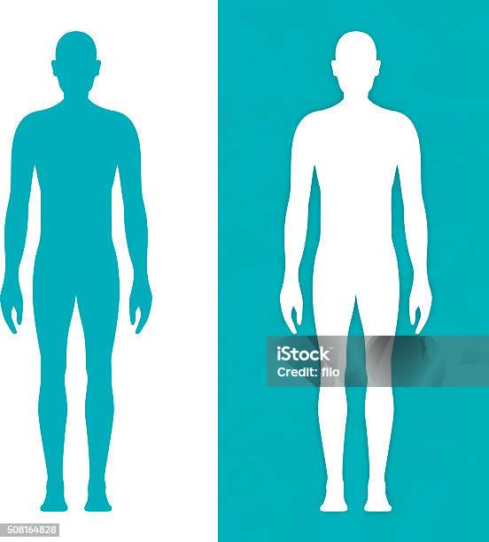 Male Body Form Stock Illustration - Download Image Now - The Human Body, In Silhouette, Outline