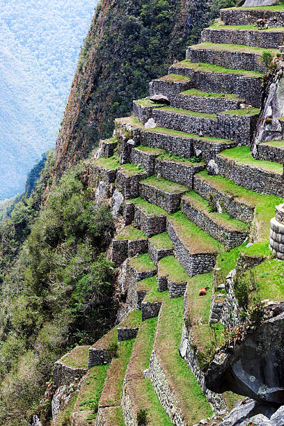 terraces on the mountain of Machu Picchu