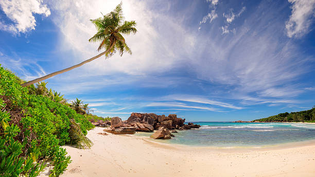 istock Panorama of Tropical beach on La Digue, Seychelles 508165812