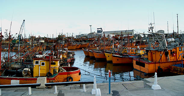 istock port of Mar del Plata 508166402