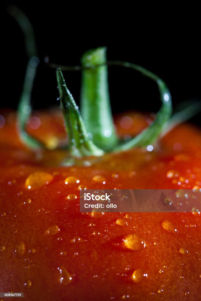 Tomate - Foto de stock de Agua libre de derechos