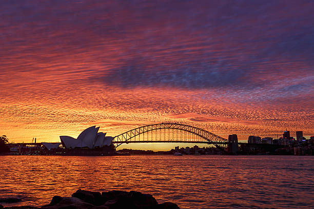 закат в сиднее - sydney australia sydney harbor bridge opera house sydney opera house стоковые фото и изображения