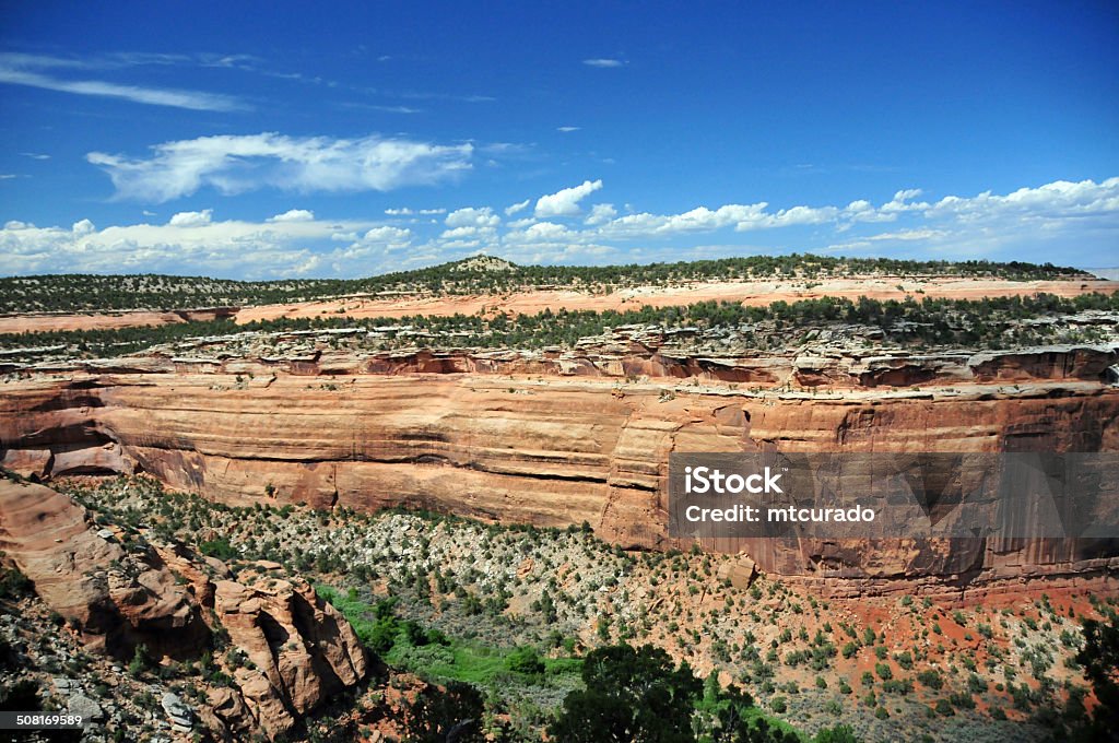 Colorado National Monument Colorado National Monument, CO, USA: view of Ute Canyon - geological strata, layers of sedimentary rock - photo by M.Torres Arid Climate Stock Photo