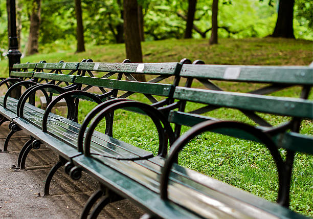 6,400+ New York City Bench Stock Photos, Pictures & Royalty-Free Images -  iStock | Park bench, New york city subway, New york city stoop