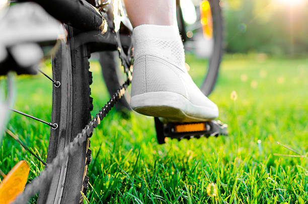 istock Mountain bike woman 508172421