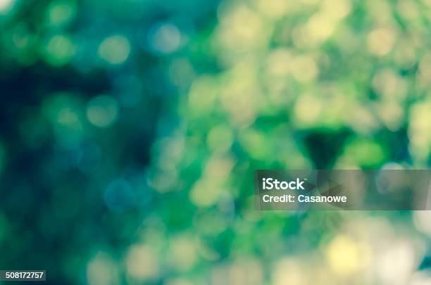 Beautiful Green Nature Vintage Style Bokeh Abstract For Background Stock Photo - Download Image Now