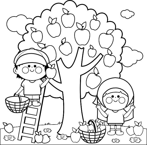 ilustraciones, imágenes clip art, dibujos animados e iconos de stock de niños de recolección de manzanas libro para colorear página - orchard flower apple tree tree